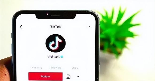 百耀集团带大Kaiyun 开云家了解TikTok跨境电商业务的现状(图2)
