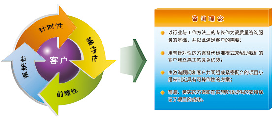 开云体育 开云平台信息化咨询(图2)