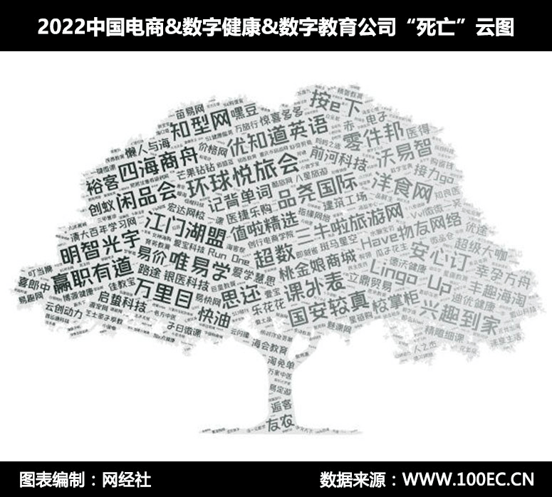 开云体育 开云官网网经社：《2022中国电商数字健康数字教育死亡数据报告》发布(图2)