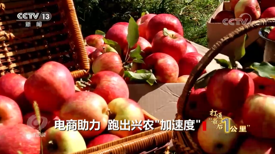 焦点访谈：打通“最后1公里” 电商助力 跑出兴农“加速度”开云体育 kaiyun.com 官网入口(图2)