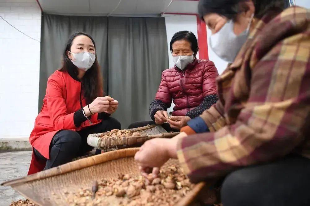 陇南：“统战+电商”模式 激活新的社会阶层人士统战工作新动能开云 开云体育(图2)