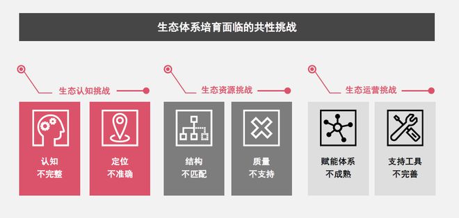 科技企业增长与转型战略 - 如何以营销和生态驱动增长？开云体育 kaiyun.com 官网入口(图4)