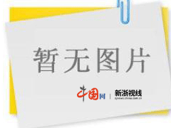 跨境电开云体育 Kaiyun.com 官网入口商--中国网浙江新闻(图4)