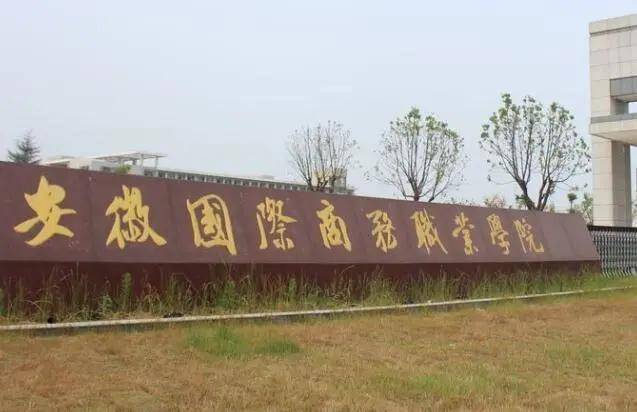 安徽省开设电子商务专业Kaiyun 开云体育的专科院校有哪些？(图2)