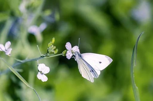 开云体育 开云官网营销服务在企业中有什么作用(图3) 开云体育 开云官网营销服务在企业中有什么作用(图3)