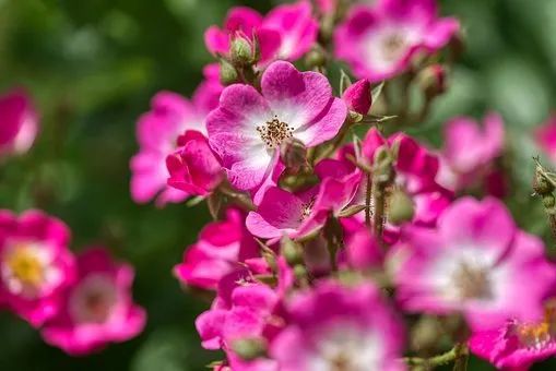 开云体育 开云官网营销服务在企业中有什么作用(图4) 开云体育 开云官网营销服务在企业中有什么作用(图4)