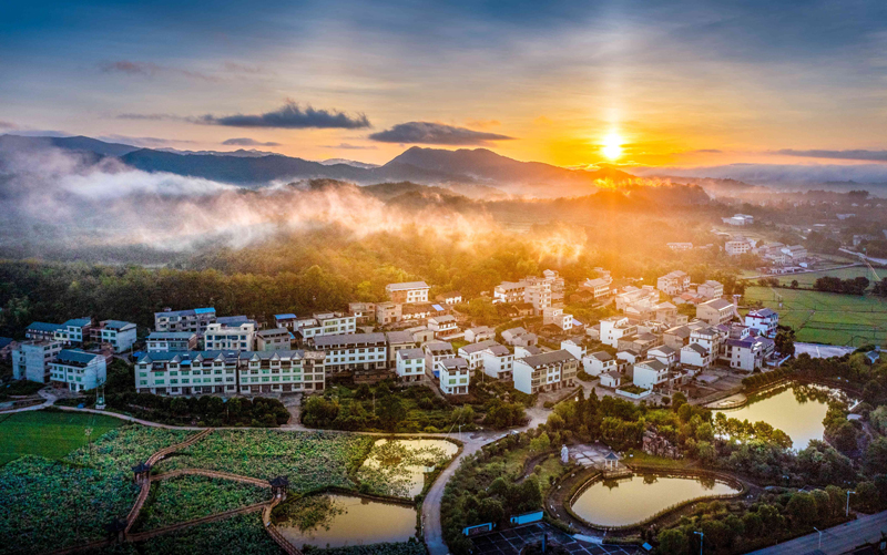 山海人家·共同富裕的故事｜宁化“标”新电商助农乡镇串起致富链开云APP 开云官网入口(图1)