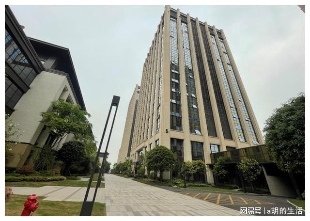 开云 开云体育平台“监理+咨询”在重庆这两家通服公司绝对“拿捏”(图2)