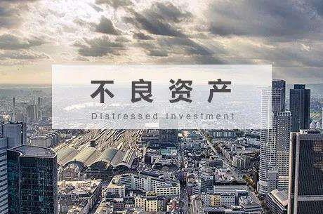 Kaiyun 开云体育诺伊曼咨询香港有限公司 - 重新定义不良资产管理的尖端标准(图2)