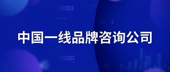 开云 开云体育平台2023年中国一线品牌咨询公司排行(图2)