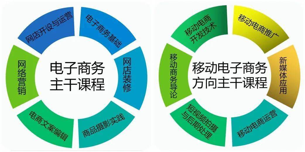 电子商务专业介绍 林百欣科技中专开云体育 Kaiyun.com 官网入口(图1)