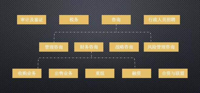 开云体育 Kaiyun.com 官网入口【职徒工场】四大的咨询部门在咨询行业是什么水准？(图6)