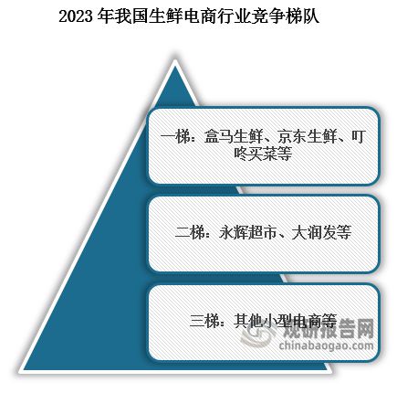 开云 开云体育官网中国生鲜电商行业发展研究与未来前景调研报告（2023-2030年）(图6)