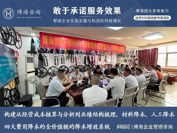 做制造业降本增效的第三方咨询机构 经验丰富Kaiyun 开云体育(图2)