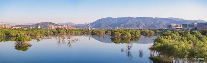 开云体育 Kaiyun.com 官网入口建发·观堂府售楼中心（官网咨询）建发·观堂府中式园林实景展示(图7)