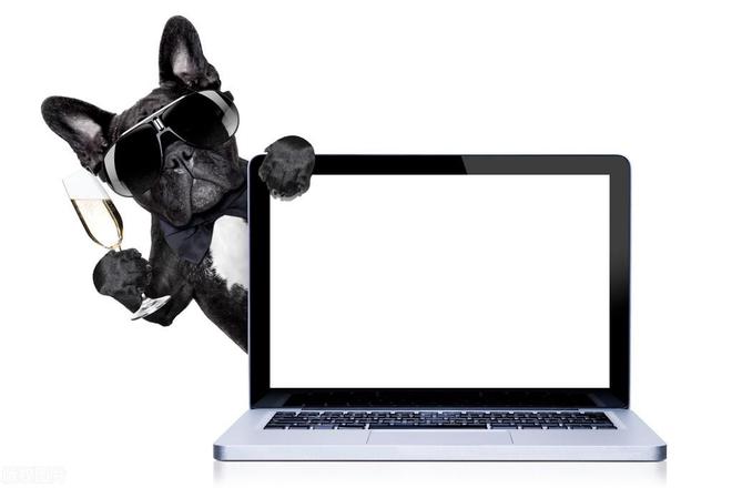 从0到1：电商新手运营攻略快速成为行开云 开云体育平台业佼佼者！(图2)