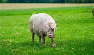 电子商务行业发展趋势及前景：预计2025年电子商务交易额达到46万亿元开云体育 开云官网(图7)