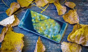 电子商务行业发展趋势及前景：预计2025年电子商务交易额达到46万亿元开云体育 开云官网(图5)