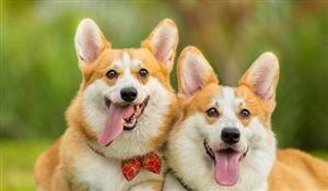 2022年咨询服务行业发展趋势及规模调研分析Kaiyun 开云(图4)