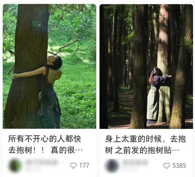 开云体育 开云平台吸金千亿！最“奇葩”养老院专治年轻人(图17)
