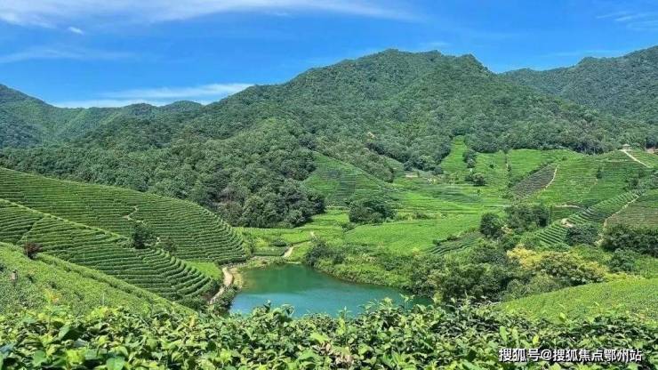 2024滨江(溪映听庐)首页网站最新房价面积_溪映听庐楼盘详情Kaiyun 开云-价格(图2)