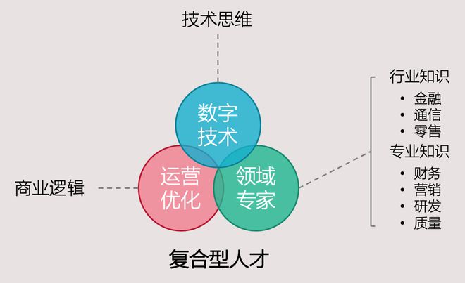 开云 开云体育平台什么是数字化管理咨询？(图2)