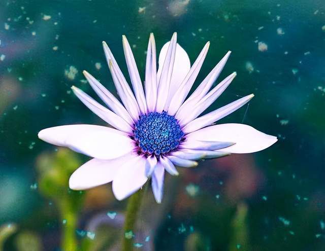 开云体育 Kaiyun.com 官网入口一个人做出背叛行为后回归家庭的3个原因:现实又肮脏(图2) 开云体育 Kaiyun.com 官网入口一个人做出背叛行为后回归家庭的3个原因:现实又肮脏(图2)