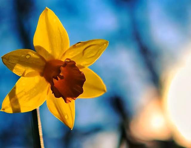 开云体育 Kaiyun.com 官网入口一个人做出背叛行为后回归家庭的3个原因:现实又肮脏(图5) 开云体育 Kaiyun.com 官网入口一个人做出背叛行为后回归家庭的3个原因:现实又肮脏(图5)