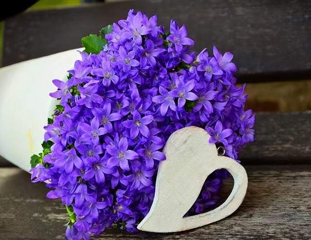 开云体育 Kaiyun.com 官网入口一个人做出背叛行为后回归家庭的3个原因:现实又肮脏(图4) 开云体育 Kaiyun.com 官网入口一个人做出背叛行为后回归家庭的3个原因:现实又肮脏(图4)