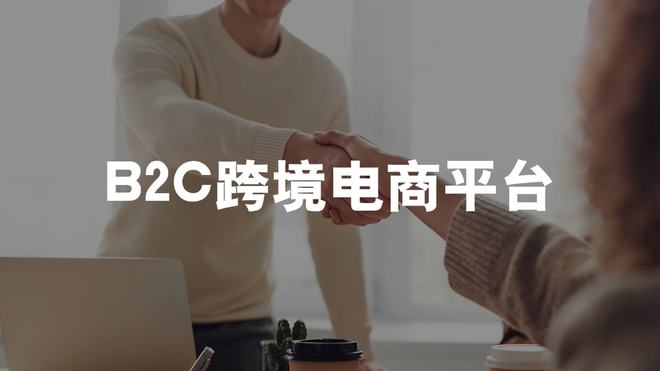 开云 开云体育平台b2c跨境电商平台有哪些(图1)