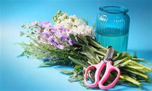 2022咨询服务行业前景及现状分析报告开云 开云体育平台(图6)