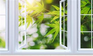 2022咨询服务行业前景及现状分析报告开云 开云体育平台(图7)