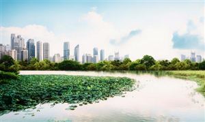 202开云体育 Kaiyun.com 官网入口3现代服务行业发展趋势及市场现状分析(图6) 202开云体育 Kaiyun.com 官网入口3现代服务行业发展趋势及市场现状分析(图6)