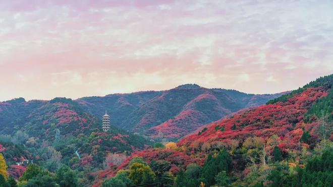 开云体育 开云官网天恒印香山售楼处(北京海淀-天恒印香山)项目最新情况(图5) 开云体育 开云官网天恒印香山售楼处(北京海淀-天恒印香山)项目最新情况(图5)