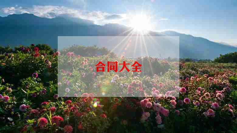 信息服务咨询合同优质7篇开云体育 开云平台(图1)