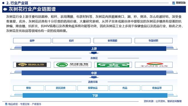 2024版中国开云体育 开云平台灰树花行业市场规模及策略研究报告（智研咨询）(图3)