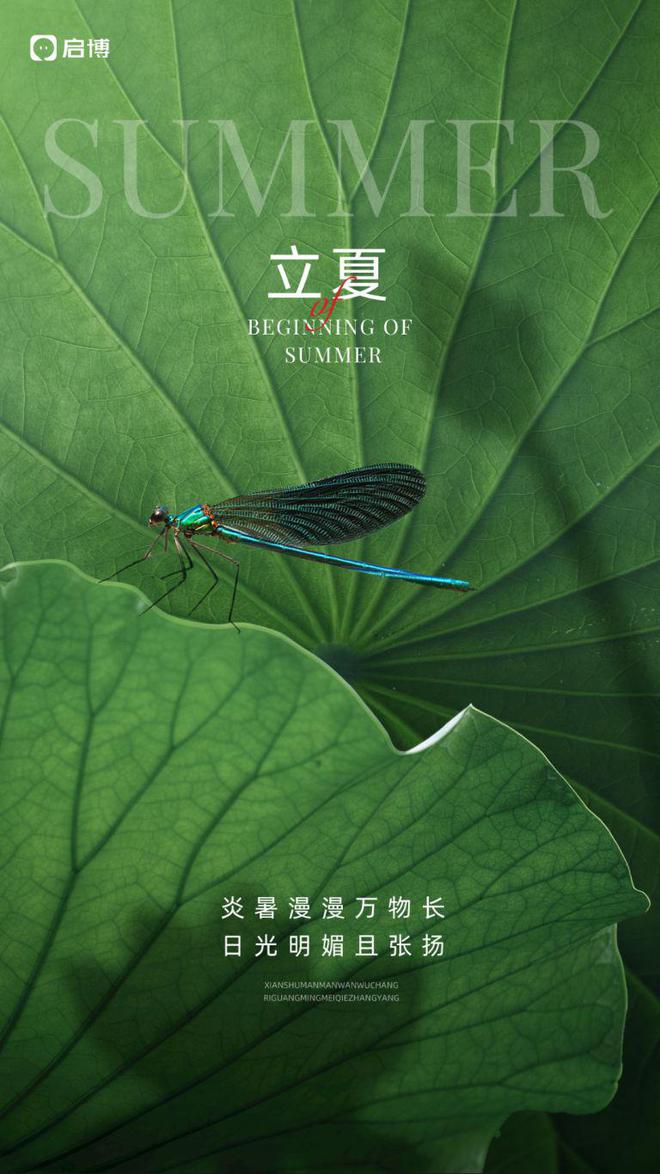 Kaiyun 开云启博分享：5月小程序商城四大行业营销方案(图4)
