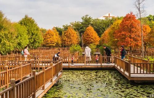 带你了解下福建厦门旅游景点排名前十有哪些？哪些值得去？Kaiyun 开云(图2)