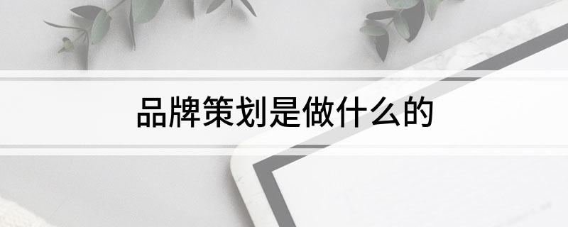 Kaiyun 开云体育品牌策划是做什么的(图1)