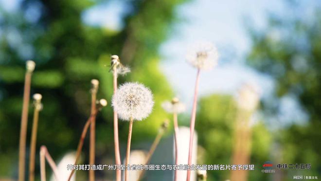广州企业形象宣传片制作企业宣传片制作开云体育 开云平台(图3)